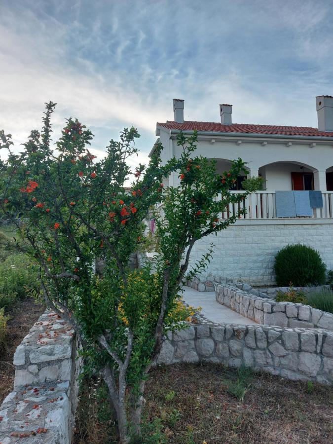 Goga Villa Zdrelac Ngoại thất bức ảnh